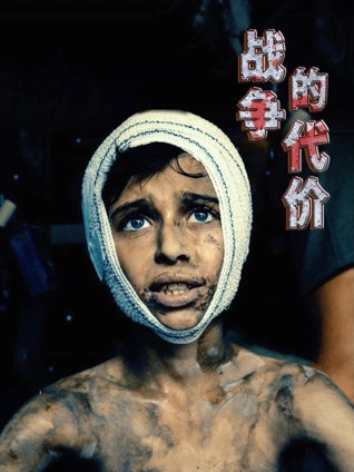 战争的代价中文版