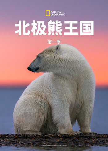 北极熊王国1